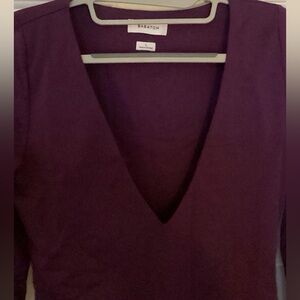 Babaton - Aritzia V-Neck Bodysuit